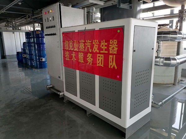 紐克曼一噸模塊燃氣蒸汽發生器配套洗衣房使用!