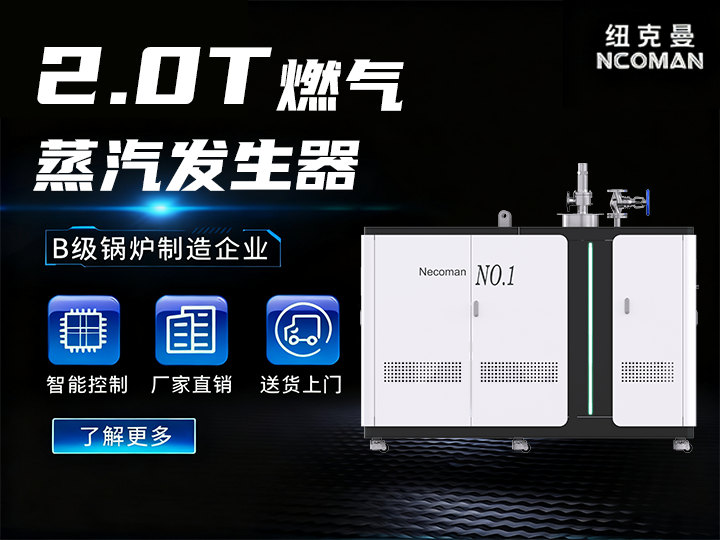 2.0噸 燃氣燃油蒸汽發生器